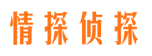 潘集寻人公司